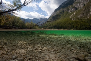 kopvoorn in thermoklien savica rivier